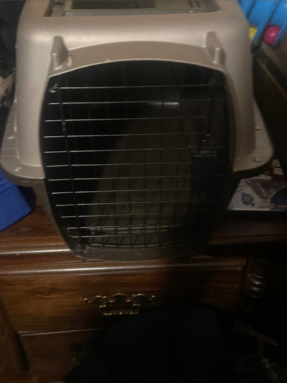 Durable Brown Plastic Cat Carrier with Secure Metal Door